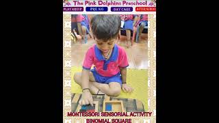 Binomial square activity ‎thepinkdolphinspreschool 1 [upl. by Hege]