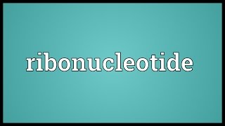 Ribonucleotide Meaning [upl. by Nim905]