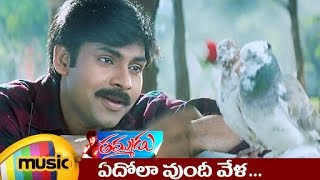 Thammudu Telugu Movie Songs  Edola Vundi Music Video  Pawan Kalyan  Preeti  Mango Music [upl. by Arayt233]