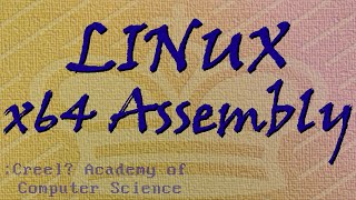 Linux x64 Assembly Tutorial 4 Passing Parameters and Coding [upl. by Lomaj154]