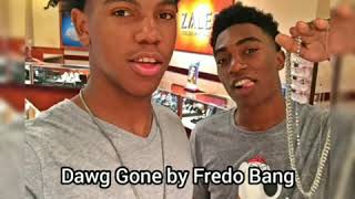 Fredo Bang  Dawg Gone lyrics [upl. by Tierell223]