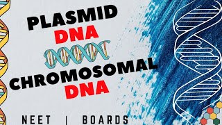 Plasmid DNA vs Chromosomal DNA In detail  CBSE Boards amp NEET [upl. by Enyledam]