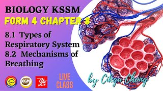 81 Types of Respiratory System amp 82 Mechanisms of Breathing [upl. by Aidul]