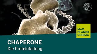 Chaperone  die Proteinfaltung [upl. by Amsden]