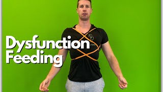 Dysfunction Feeding Thorax und Scapula in Retraktion [upl. by Hebert556]