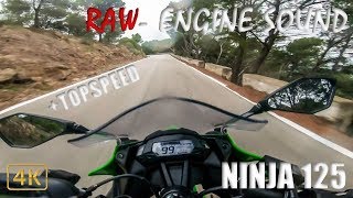 Kawasaki Ninja125  Topspeed  RAWEngine Sound [upl. by Libna]