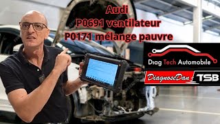 Audi P0691 ventilateur et P0171 mélange pauvre je vous explique tout [upl. by Merrily]