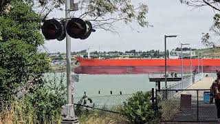 Eagle Hatteras Passing Eckley Pier From Benicia 5182024 [upl. by Pejsach]