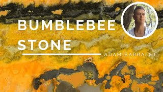 Bumblebee Stone  The Stone of Social Success [upl. by Algie]