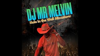 Hole in the Wall Mixxshow  12424   Dj Mr Melvin [upl. by Idzik]