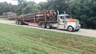 Kenworth W900 day cab logging truck [upl. by Ecidnac]