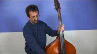 Upright Bass for Beginners  Upright Bass Parts [upl. by Elleimac320]