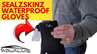 Seal Skinz Waterproof Gloves  Best Waterproof Gloves For Auto Detailing In 2021 [upl. by Noda]