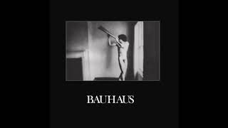 Bauhaus  Rosegarden Funeral Sores [upl. by Ty616]