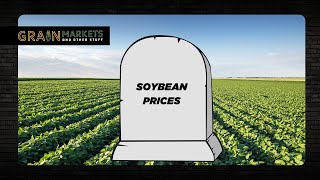 Scariest Soybean Chart Ever [upl. by Slade]