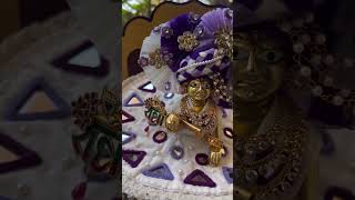 radhe radhe 🌹 ♥️ sukoon bankebihari viralvideo viral [upl. by Ldnek]