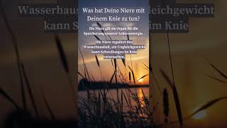 Seelensprache Niere Kniegelenk [upl. by Philine]