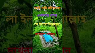 কেউ যদি জীবনের একবার হলে ও এই দোয়া টা পড়ে সে জানতি youtubeshorts [upl. by Yralam484]