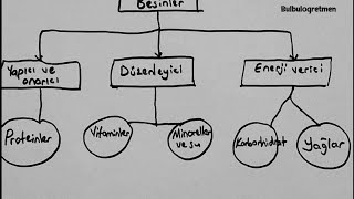 4sınıf fen bilimleri besinler Bulbulogretmen 4sınıf fen fenbilimleri [upl. by Sigismundo]