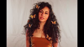 Jerrica Alyssa Chase The Butterflies Lyric Video [upl. by Dugan288]