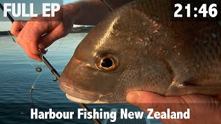 Harbour Fishing New Zealand [upl. by Ternan]