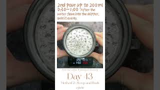 PourOver Coffee Daily Recipe  Day43 NextLevel Pulsar Four Brewing Methods 2 Steep and Flush [upl. by Alhak]