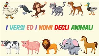 I Versi Degli Animali per bambini I Imparare i nomi degli animali  Italiano  Canzoni per Bambini [upl. by Elisa]