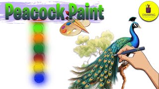 Peacock Paint Techniques From Beginner to Pro Drawing and Craft School [upl. by Toor]