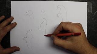 How to draw scroll designs The basics [upl. by Wilburn]