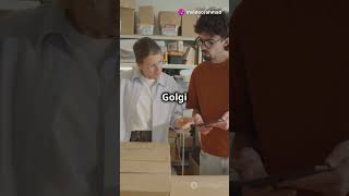 Golgi Apparatus Know About It [upl. by Beckman134]