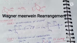 Wagner Meerwien Rearrangement [upl. by Eveivaneg106]