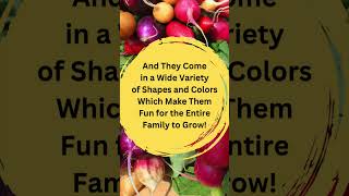 The FastestGrowing Vegetable for Fall coopgro organic [upl. by Tamra]