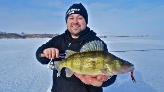 North Dakota Perch Feeding Frenzy  quotInDepth Outdoorsquot TV Season 7 Episode 7 [upl. by Alokin]