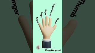 FINGER AND TOE NAMES english vocabulary [upl. by Madoc]