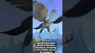 Archaeopteryx Facts Nature’s Missing Link archaeopteryx fascinatingfacts wildlife [upl. by Linoel620]