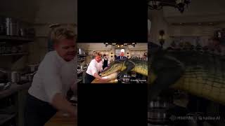 Gordon Ramsay Celeb Showdown [upl. by Aleusnoc]