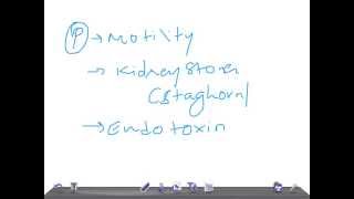 Medical Video Lecture Proteus mirabilis amp Vulgaris Microbiology [upl. by Hedwig476]