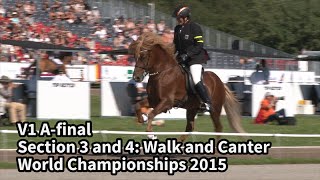 V1 A final Section 3 and 4 WC Icelandic Horses IslandpferdeWM VM Islandshästar 2015 [upl. by Elinore]