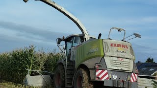 Ensilage de maïs avec Claas Jaguar 950 [upl. by Legnalos89]