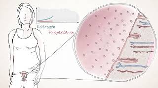 Hormon Progesteron Unerlässlich zur Erhaltung der Schwangerschaft [upl. by Mcgruter]