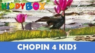 Chopin Mozart Bach  Klassik für Kinder  Am Seerosenteich KIDDYBOXTV [upl. by Aicinoid513]