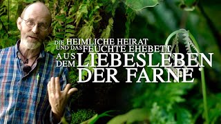 Heimliche Heirat und feuchtes Ehebett aus dem Liebesleben der Farne [upl. by Nomzed]