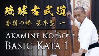 Bo Kata Training  Ryukyu Kobudo Grand Master  Shimbukan  Ageshio Japan [upl. by Airamasor]