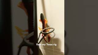 Texas rig craw fishing [upl. by Ynot]