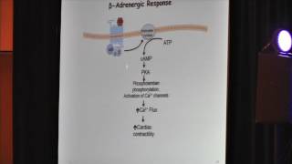 Potential Therapies for Barth Syndrome Zaza Khuchua PhD [upl. by Siuoleoj]