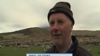 Irish Farmers Glorious Accent Is So Strong Here are the subtitles [upl. by Liw]