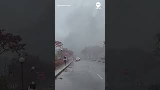 Aftermath video shows smoke rising after vehicle explosion at Rainbow Bridge [upl. by Bartolomeo720]