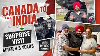 SURPRISE VISIT FROM CANADA 🇨🇦 TO INDIA 🇮🇳 with my DOG AFTER 45 YEARS 🥹EMOTIONAL VIDEO MUST WATCH [upl. by Salot]