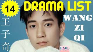 王子奇 Wang Zi Qi  Drama List  Wang Ziqi s all 14 dramas  CADL [upl. by Milman]