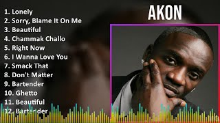 Akon 2024 MIX Playlist  Lonely Sorry Blame It On Me Beautiful Chammak Challo [upl. by Nojel]